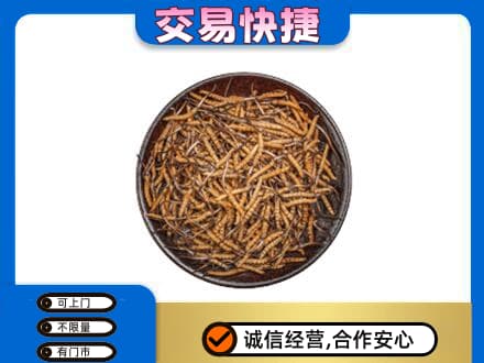 大兴安岭高价回收散虫草